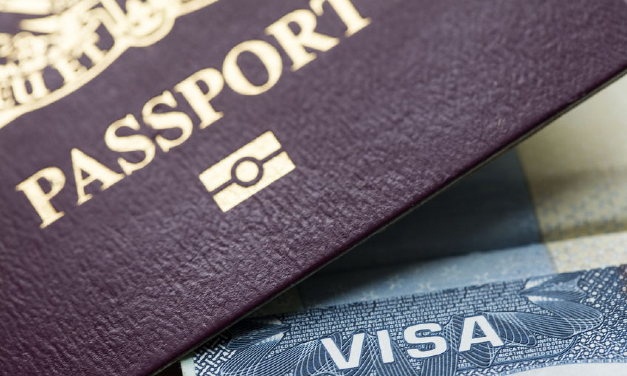 Les formalités de visa en ligne : Russie et Inde